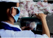 Bún sạch mua ở đâu thành phố Hồ Chí Minh?